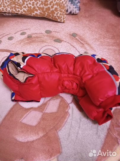 Конбинзон для собак