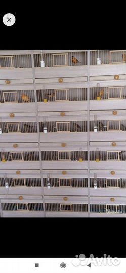 Этажерка под птиц