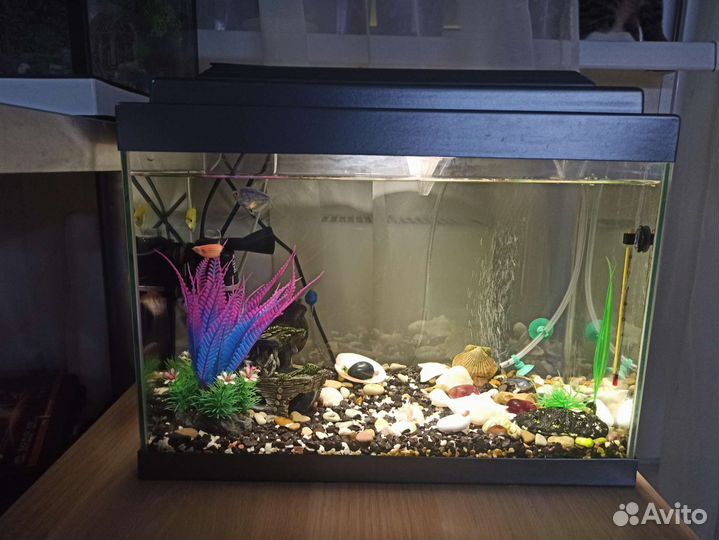 Аквариум