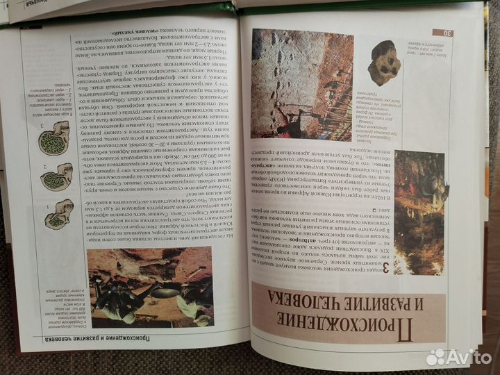 Книги эрудит