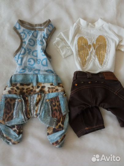 Одежда для животных