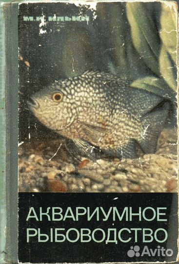 Аквариумное рыбоводство