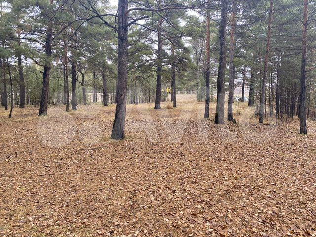 Участок 9,5 сот. (ИЖС)