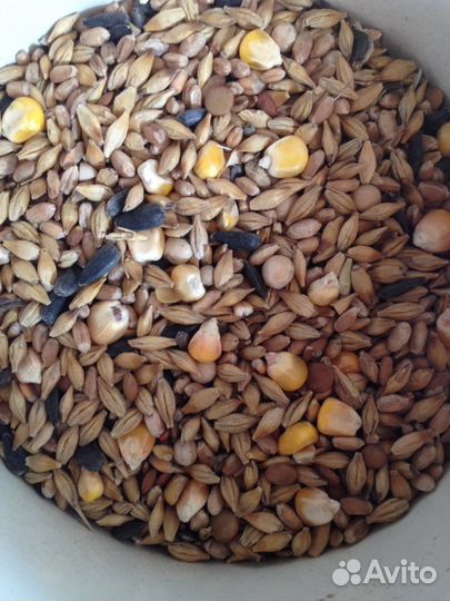 Комбикорм, зерно