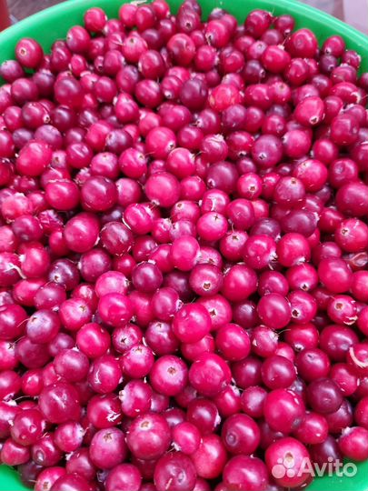 Белые грибы - маринованные,сушеные, ягода