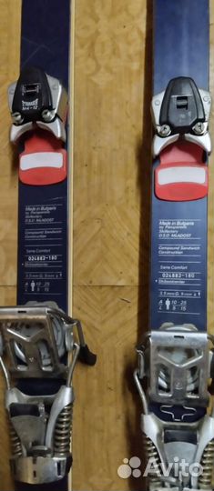 Горные лыжи