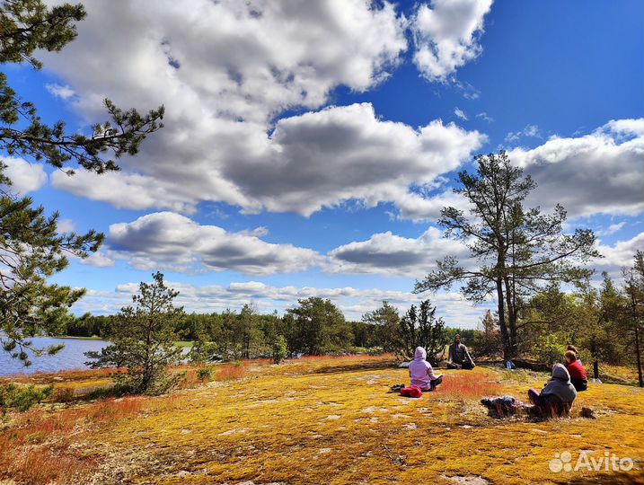 Йога тур на остров Густой 05-07 сентября,г Выборг