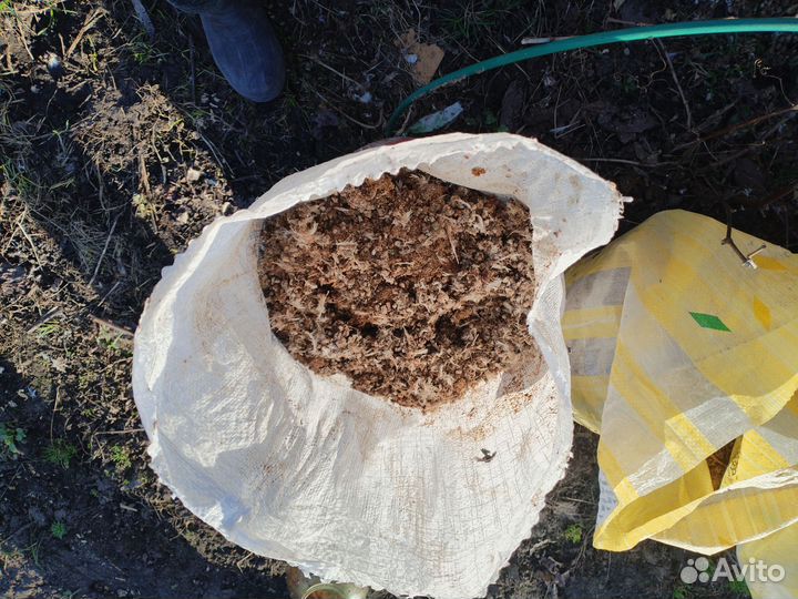 Перепелиный помет