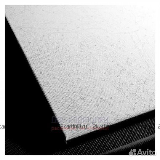 Картина по номерам 40x50 Удивленный разноцветный к