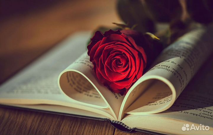 Редактирование и набор текста, презентации в школу