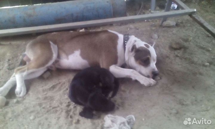 Кабель для вязки