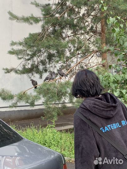 Плюшевое худи vezarrr