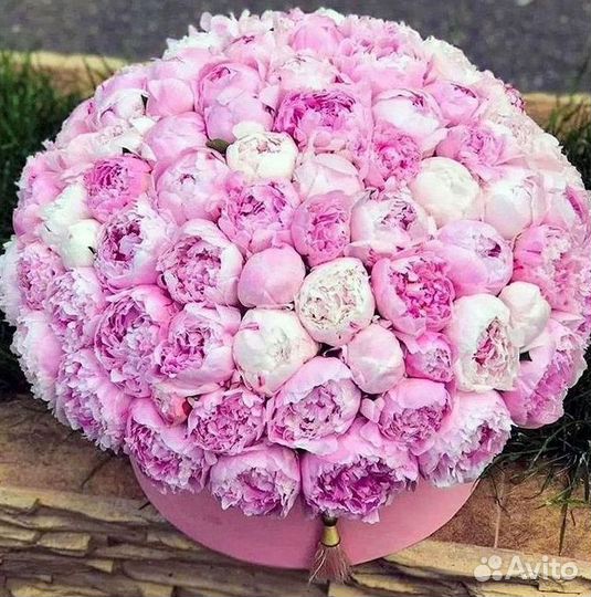 Пионы Цветы Доставка