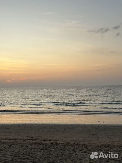 Финансовые консультации. Антикризисное управление