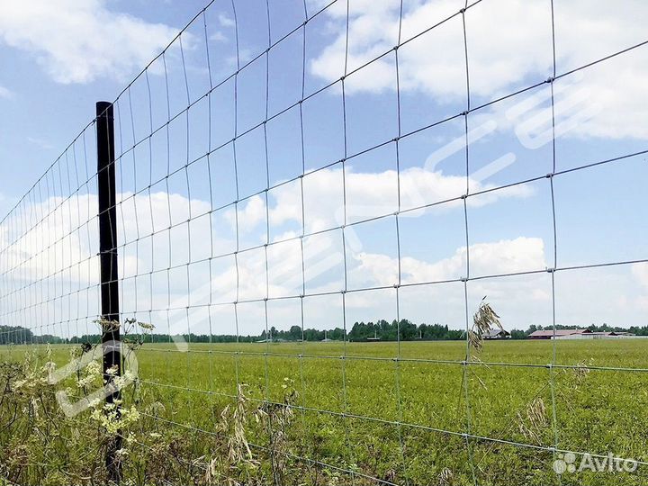 Столб 60х40х1,2мм, L2.5м для шарнирной сетки