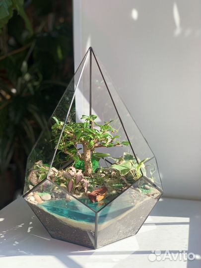 Флорарум с бонсай