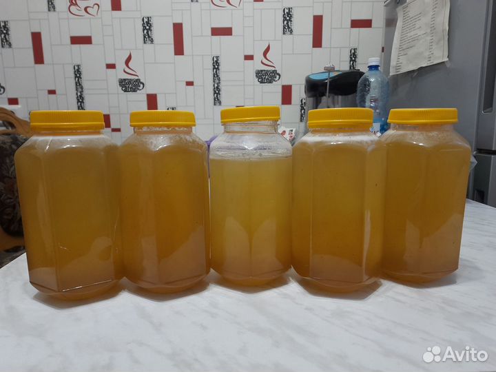 Мед Горное разнотравье. с. Лютаево. Солонешенский