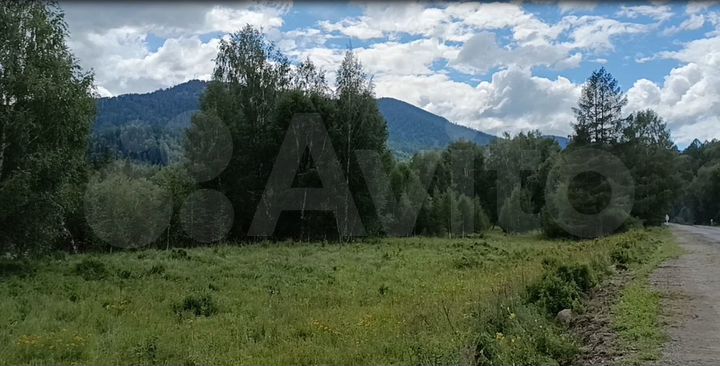 Участок 1,7 га (СНТ, ДНП)