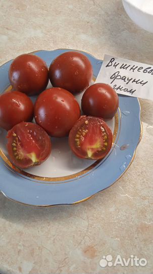 Семена томатов