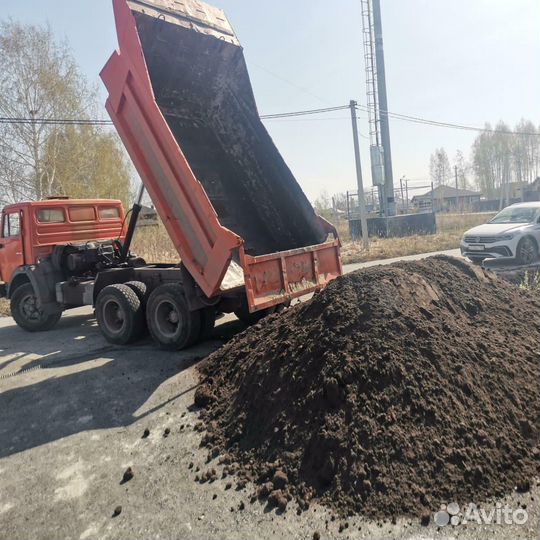 Купить чернозем сегодня