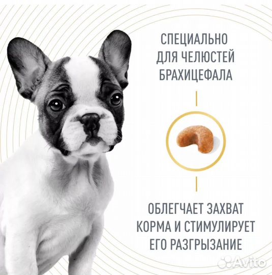 Корм для собак Royal canin для бульдожек