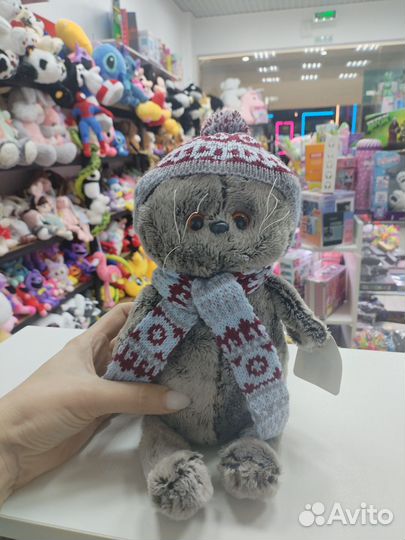 Кот басик