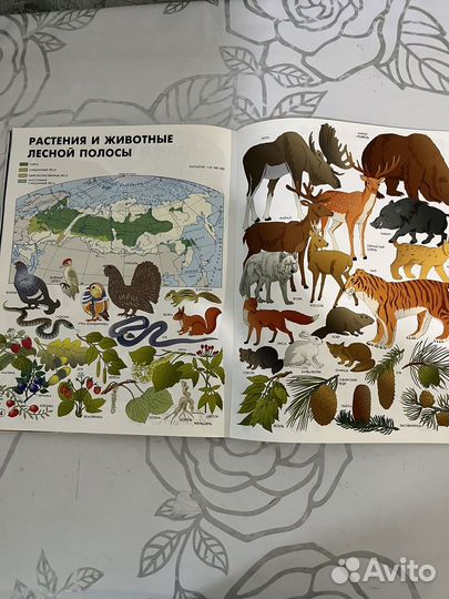 Географический атлас мир и человек для детей