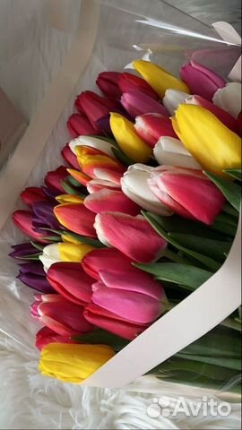 Цветы тюльпаны оптом