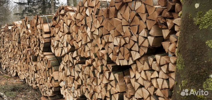 Дрова осина