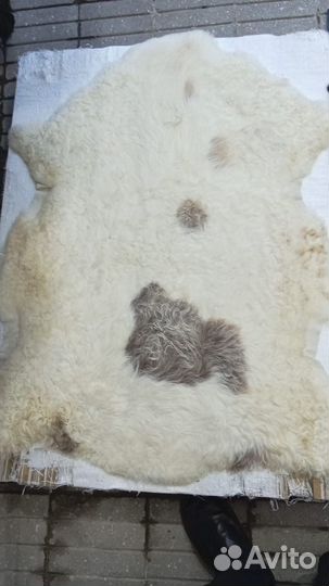 Овечьи и козьи шкуры