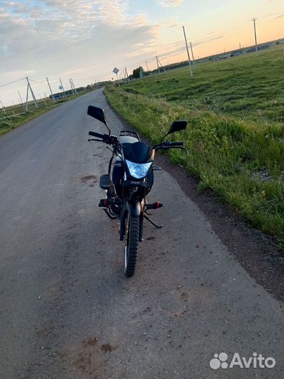 Продам альфу чамп RS12