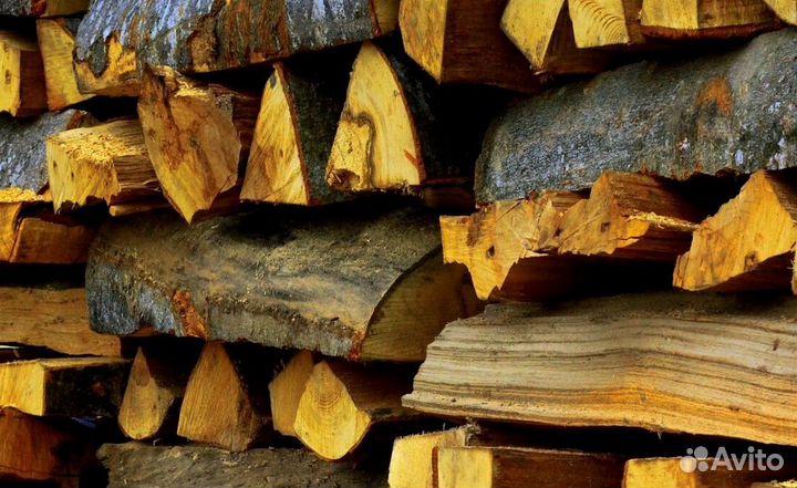 Дрова образцовые