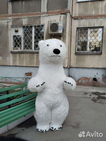 Поздравления от белого медведя