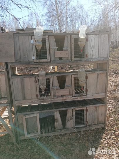 Клетки для кроликов