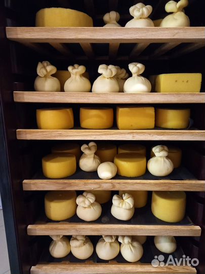 Молочные продукты