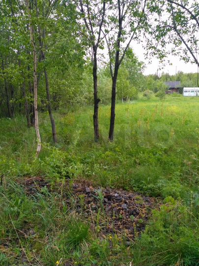 Участок 10 сот. (СНТ, ДНП)