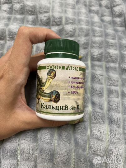 Геккон эублефар+террариум