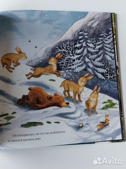 Весна медвежонка книга