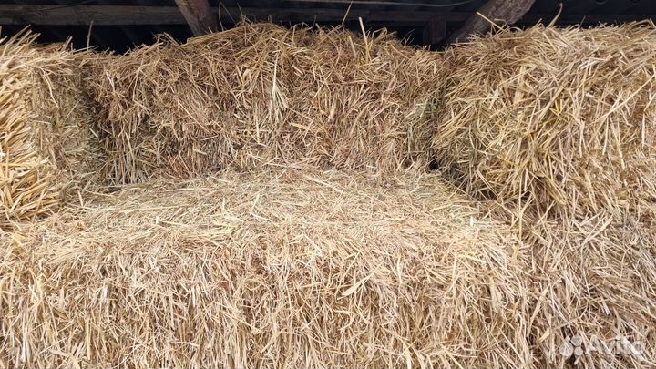 Сено в рулонах и в тюках