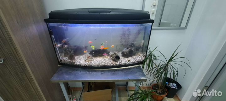 Установка, запуск и Чистка Аквариумов