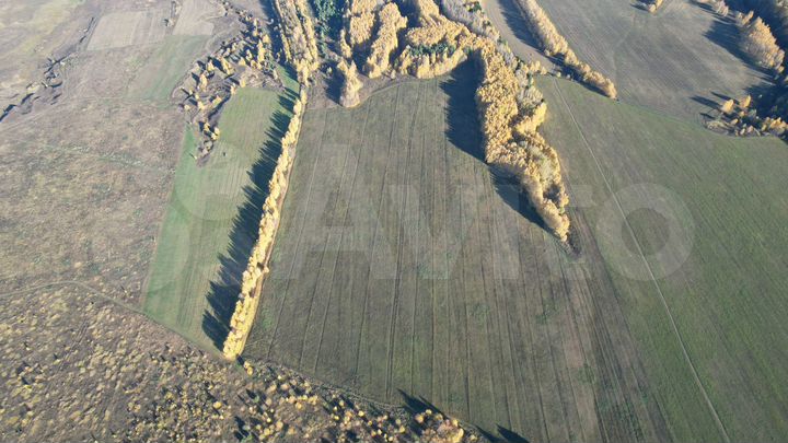 Участок 91,67 га (СНТ, ДНП)
