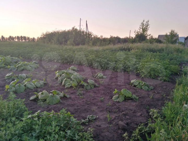 Участок 30 сот. (ИЖС)