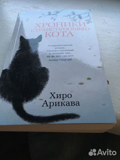 Книга хроники странствующего кота. Хроники странствующего кота книга. Иллюстрации в книге хроники странствующего кота. Хроники странствующего кота картинки.