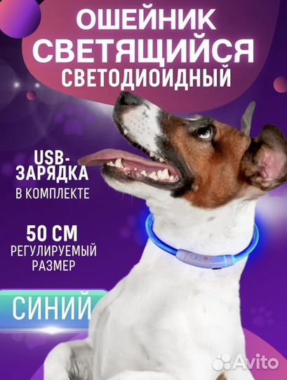 Ошейник для собак светящийся