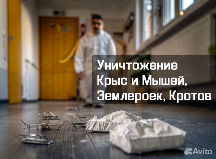 Уничтожение Клопы Тараканы Крыс Запах Дезинфекция