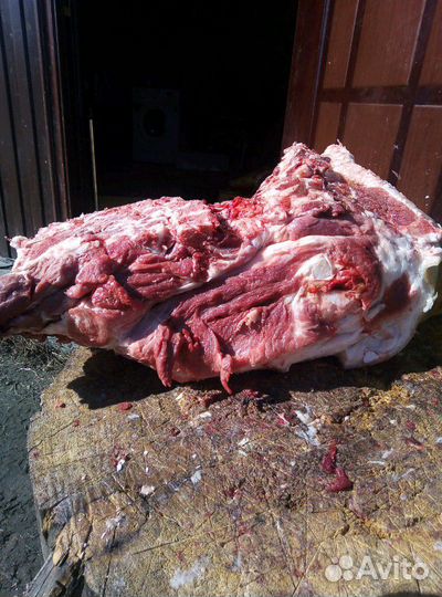 Мясо свинина