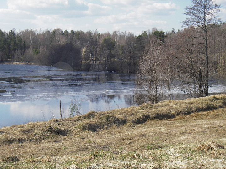 Участок 64 сот. (ИЖС)