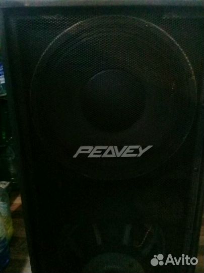 Peavey best sale dth4 speakers