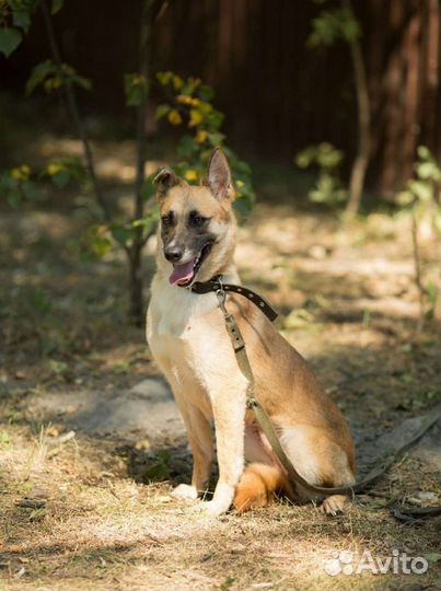 Молодая девочка охранница