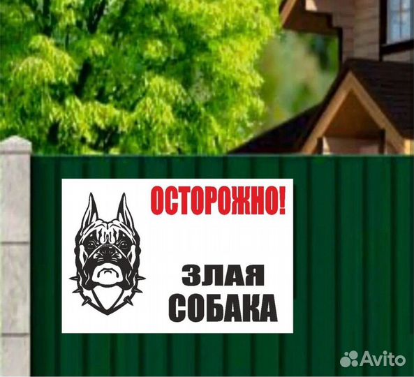 Осторожно злая собака таблички